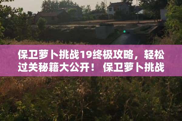 保卫萝卜挑战19终极攻略，轻松过关秘籍大公开！ 保卫萝卜挑战19攻略
