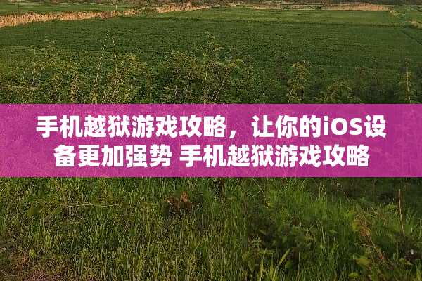 手机越狱游戏攻略，让你的iOS设备更加强势 手机越狱游戏攻略