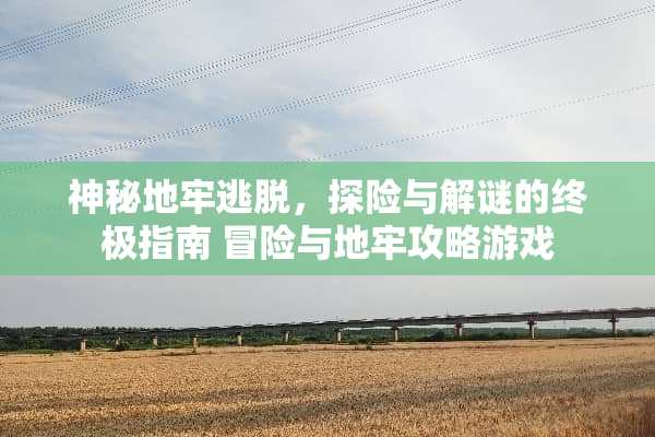 神秘地牢逃脱，探险与解谜的终极指南 冒险与地牢攻略游戏