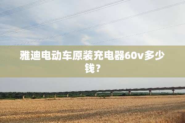 雅迪电动车原装充电器60v多少钱？