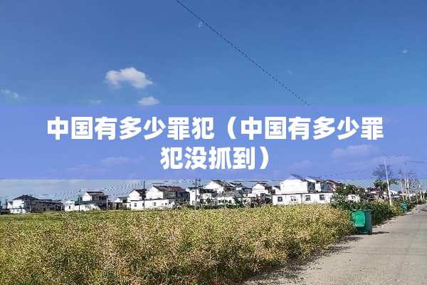 中国有多少罪犯（中国有多少罪犯没抓到）