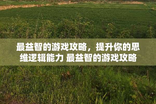 最益智的游戏攻略，提升你的思维逻辑能力 最益智的游戏攻略