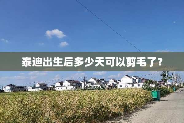 泰迪出生后多少天可以剪毛了？