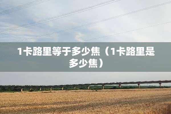 1卡路里等于多少焦（1卡路里是多少焦）