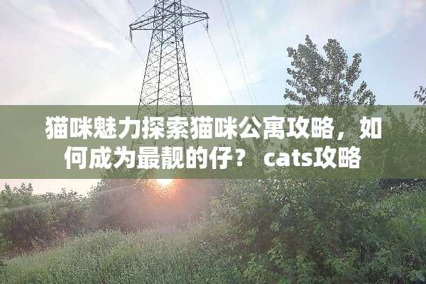 猫咪魅力探索猫咪公寓攻略，如何成为最靓的仔？ cats攻略