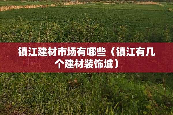 镇江建材市场有哪些（镇江有几个建材装饰城）