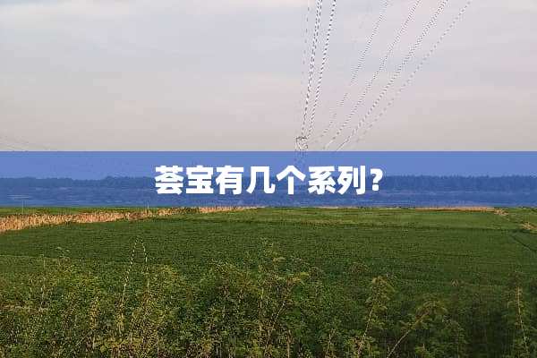 荟宝有几个系列？