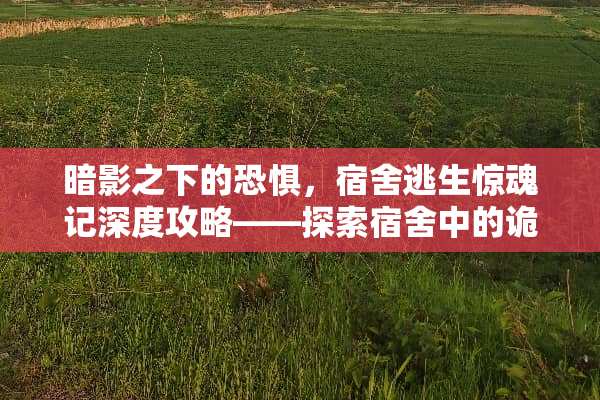 暗影之下的恐惧，宿舍逃生惊魂记深度攻略——探索宿舍中的诡异与生存之道 硬核恐怖宿舍游戏攻略