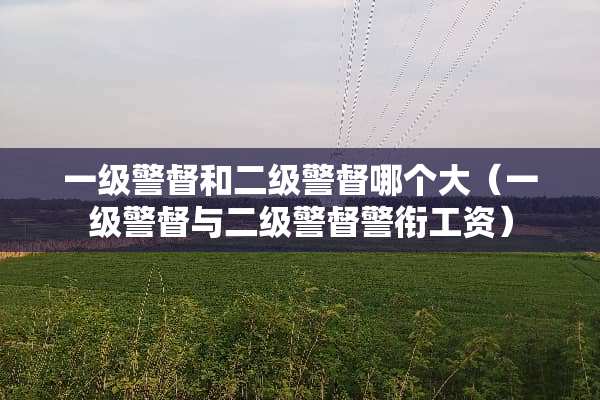 一级警督和二级警督哪个大（一级警督与二级警督警衔工资）