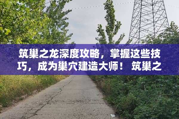 筑巢之龙深度攻略，掌握这些技巧，成为巢*建造大师！ 筑巢之龙攻略