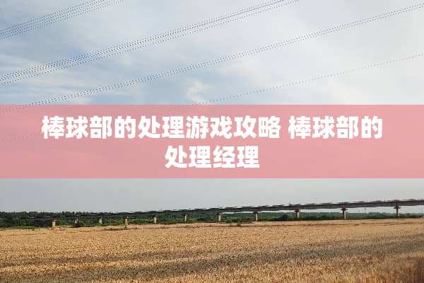 棒球部的处理游戏攻略 棒球部的处理经理