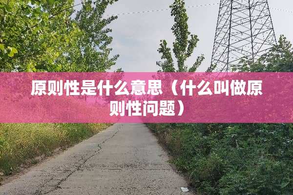 原则性是什么意思（什么叫做原则性问题）