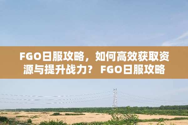 FGO日服攻略，如何高效获取资源与提升战力？ FGO日服攻略