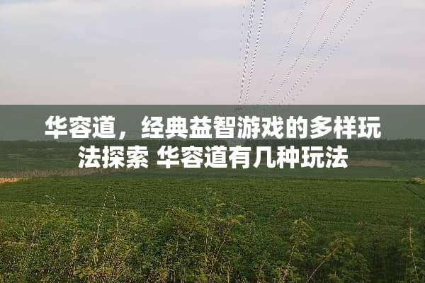 华容道，经典益智游戏的多样玩法探索 华容道有几种玩法