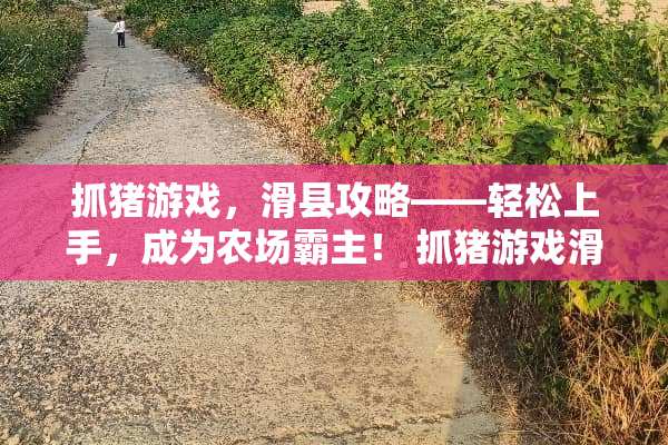 抓猪游戏，滑县攻略——轻松上手，成为农场霸主！ 抓猪游戏滑县攻略