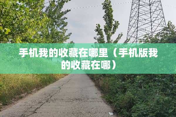 手机我的收藏在哪里（手机版我的收藏在哪）