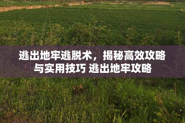 逃出地牢逃脱术，揭秘高效攻略与实用技巧 逃出地牢攻略