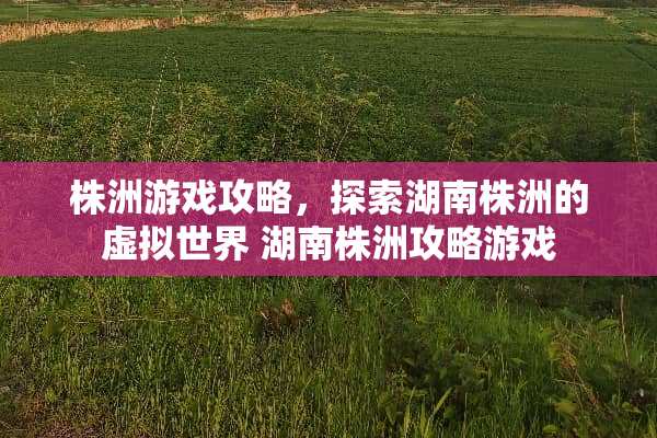 株洲游戏攻略，探索湖南株洲的虚拟世界 湖南株洲攻略游戏