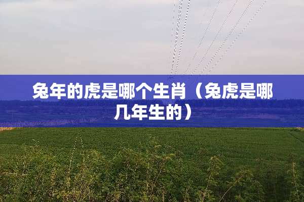 兔年的虎是哪个生肖（兔虎是哪几年生的）
