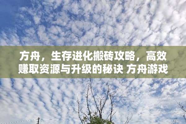 方舟，生存进化搬砖攻略，高效赚取资源与升级的秘诀 方舟游戏搬砖攻略
