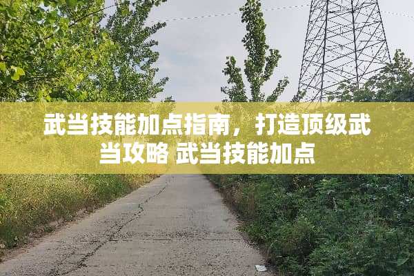 武当技能加点指南，打造**武当攻略 武当技能加点