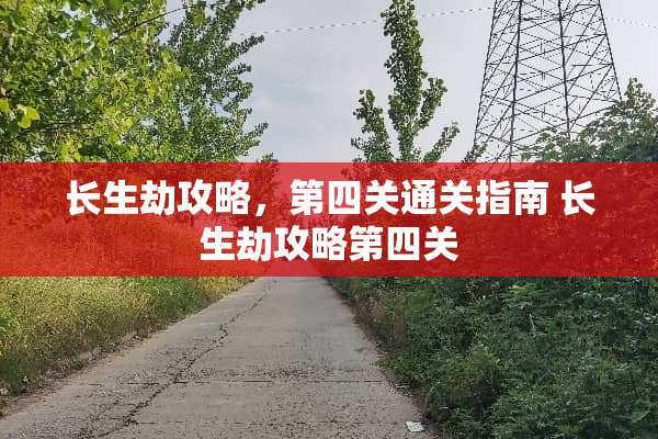长生劫攻略，第四关通关指南 长生劫攻略第四关