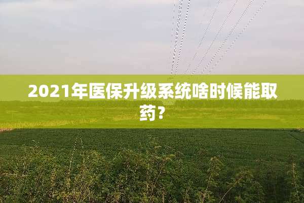 2021年医保升级系统啥时候能取药？
