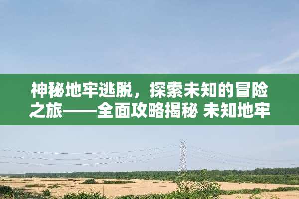 神秘地牢逃脱，探索未知的冒险之旅——全面攻略揭秘 未知地牢探险游戏攻略