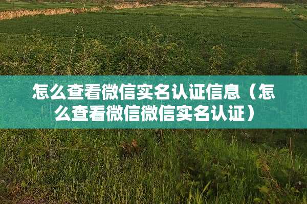 怎么查看微信实名认证信息（怎么查看微信微信实名认证）