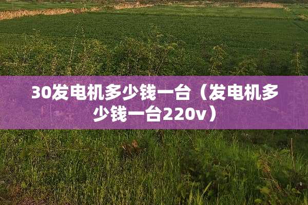 30发电机多少钱一台（发电机多少钱一台220v）