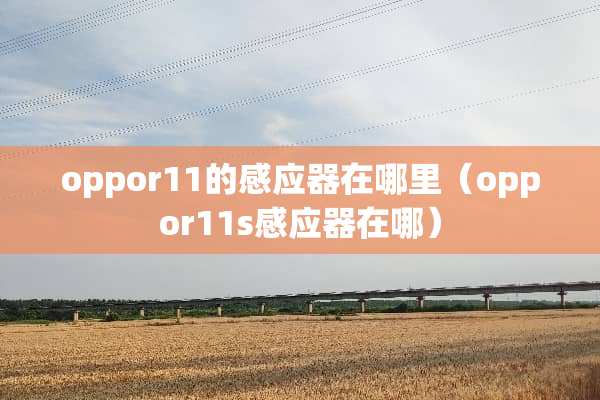 oppor11的感应器在哪里（oppor11s感应器在哪）