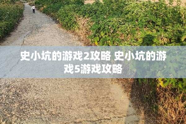 史小坑的游戏2攻略 史小坑的游戏5游戏攻略