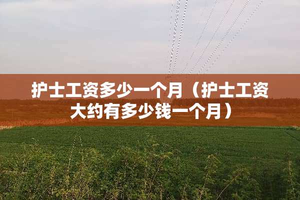 护士工资多少一个月（护士工资大约有多少钱一个月）