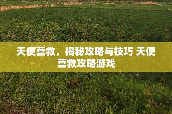 天使营救，揭秘攻略与技巧 天使营救攻略游戏
