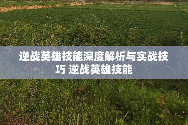 逆战英雄技能深度解析与实战技巧 逆战英雄技能