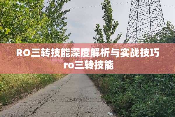 RO三转技能深度解析与实战技巧 ro三转技能