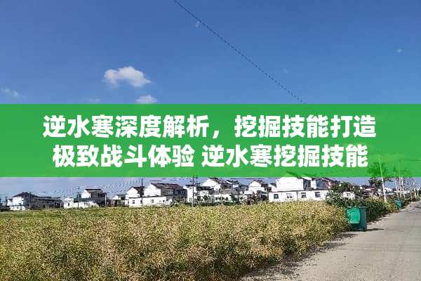 逆水寒深度解析，挖掘技能打造极致战斗体验 逆水寒挖掘技能