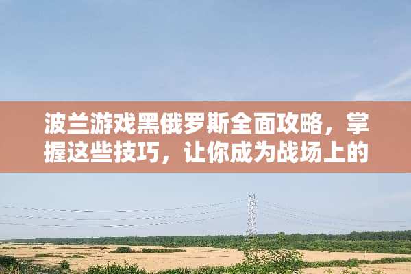 波兰游戏黑俄罗斯全面攻略，掌握这些技巧，让你成为战场上的佼佼者 波兰游戏黑俄罗斯攻略