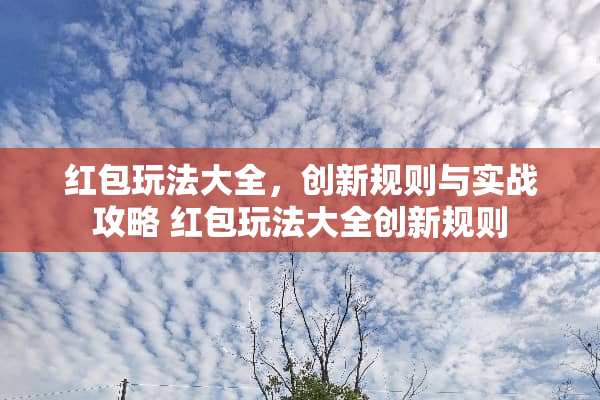 红包玩法大全，创新规则与实战攻略 红包玩法大全创新规则