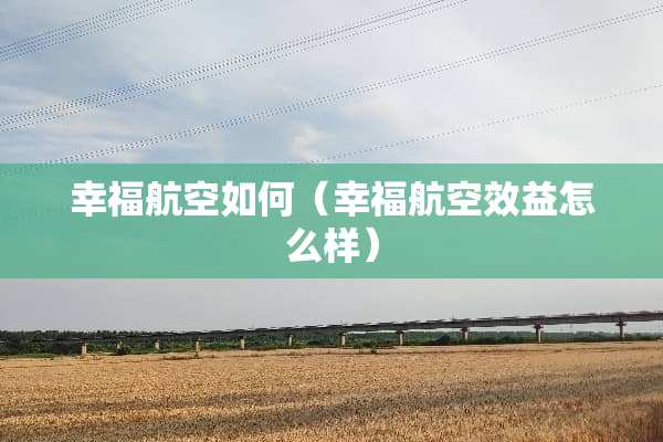 幸福航空如何（幸福航空效益怎么样）