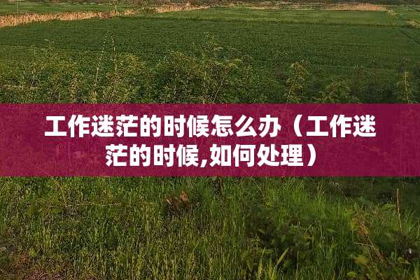 工作迷茫的时候怎么办（工作迷茫的时候,如何处理）