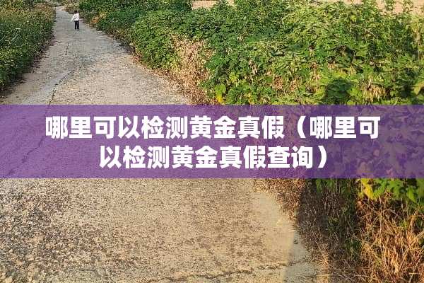 哪里可以检测黄金真假（哪里可以检测黄金真假查询）