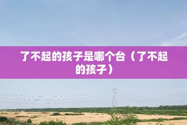 了不起的孩子是哪个台（了不起的孩孑）