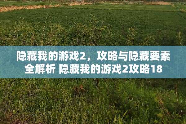 隐藏我的游戏2，攻略与隐藏要素全解析 隐藏我的游戏2攻略18