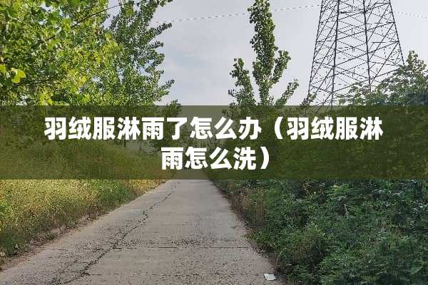 羽绒服淋雨了怎么办（羽绒服淋雨怎么洗）