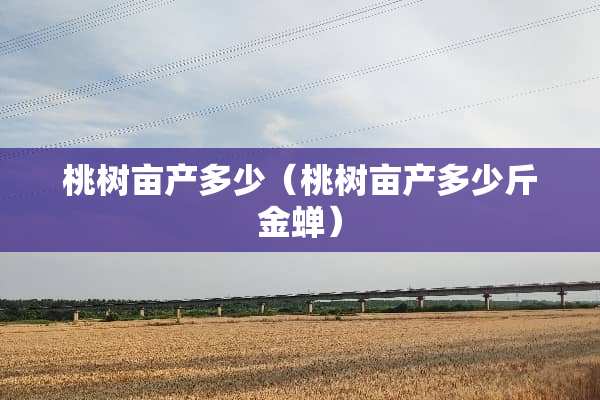 桃树亩产多少（桃树亩产多少斤金蝉）