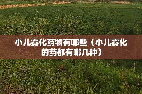 小儿雾化药物有哪些（小儿雾化的药都有哪几种）