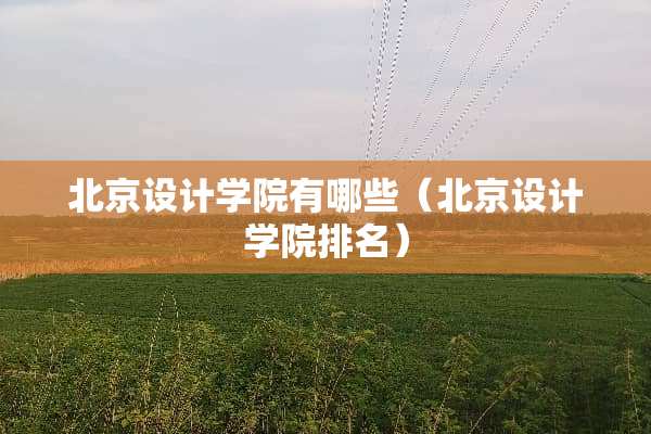 北京设计学院有哪些（北京设计学院排名）
