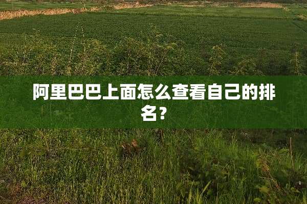阿里巴巴上面怎么查看自己的排名？