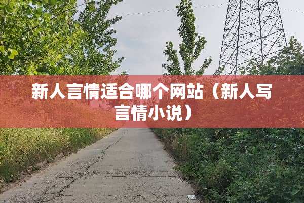 新人言情适合哪个网站（新人写言情小说）